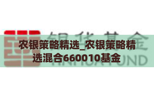 农银策略精选_农银策略精选混合660010基金