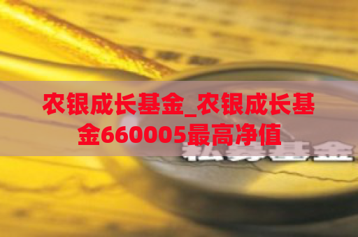农银成长基金_农银成长基金660005最高净值